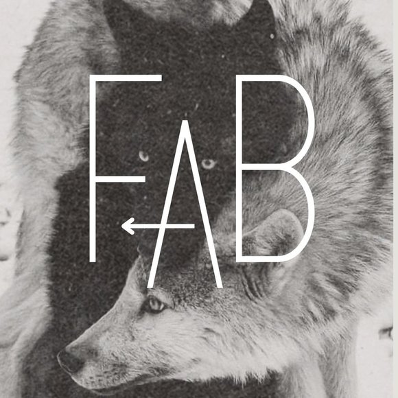 Meet your Posher, Fab - Picture 1 of 3